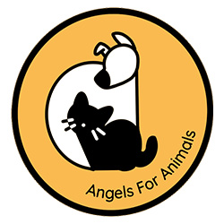 Angels for Animals