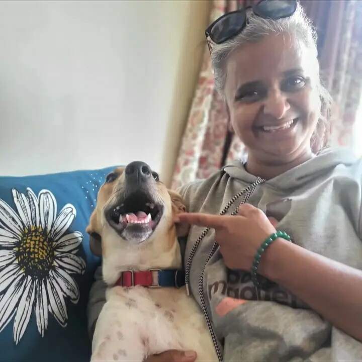 Paw Magnet Pet Care Services