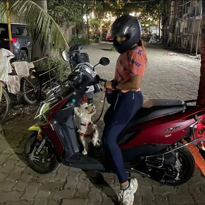 Paw Magnet Pet Care Services
