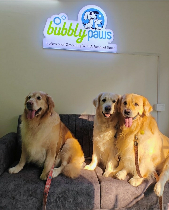 Bubbly Paws Professional Pet Grooming Salon