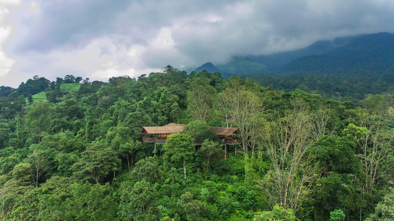 Vythiri Mist Resort, Wayanad