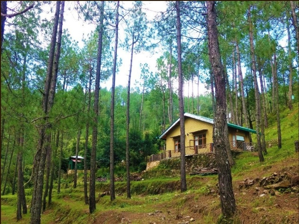 Chestnut Grove Himalayan Lodge