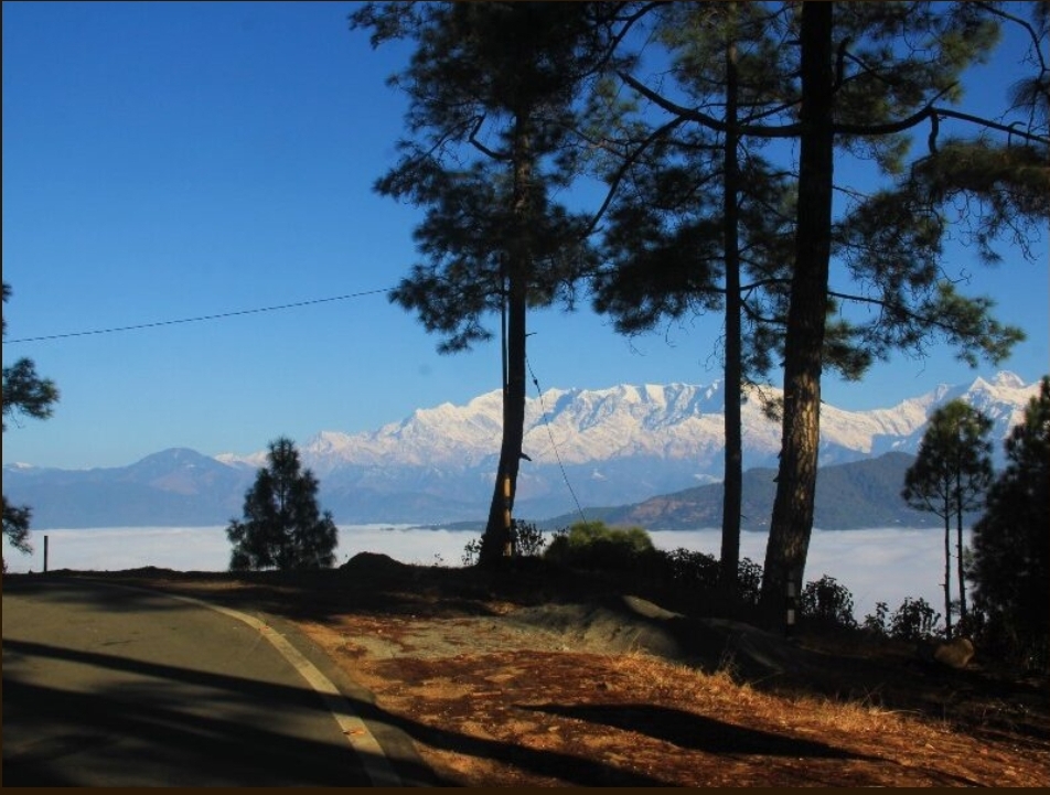 Chestnut Grove Himalayan Lodge