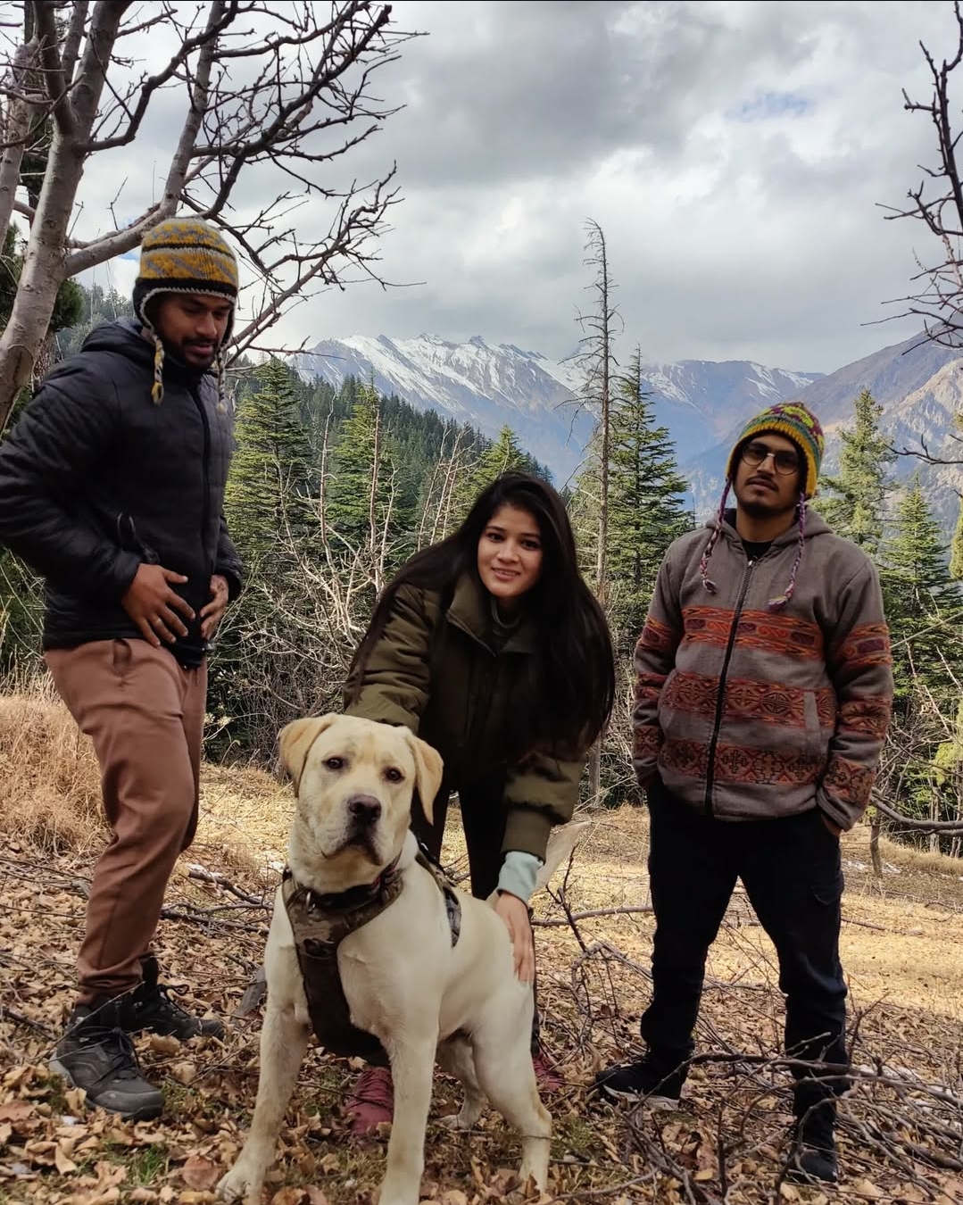 Shivay Apple Garden & Homestay
