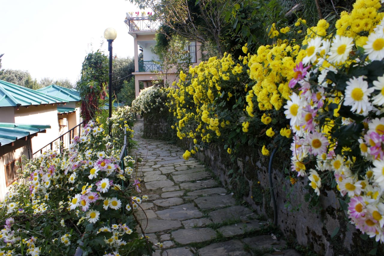 Summit Parwati Resort