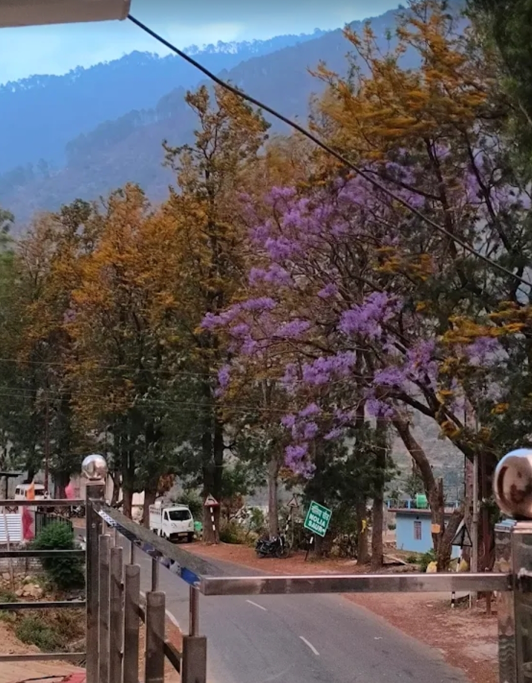 Pine View Resort