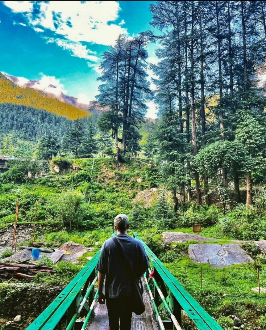 Wildwood Home Jibhi