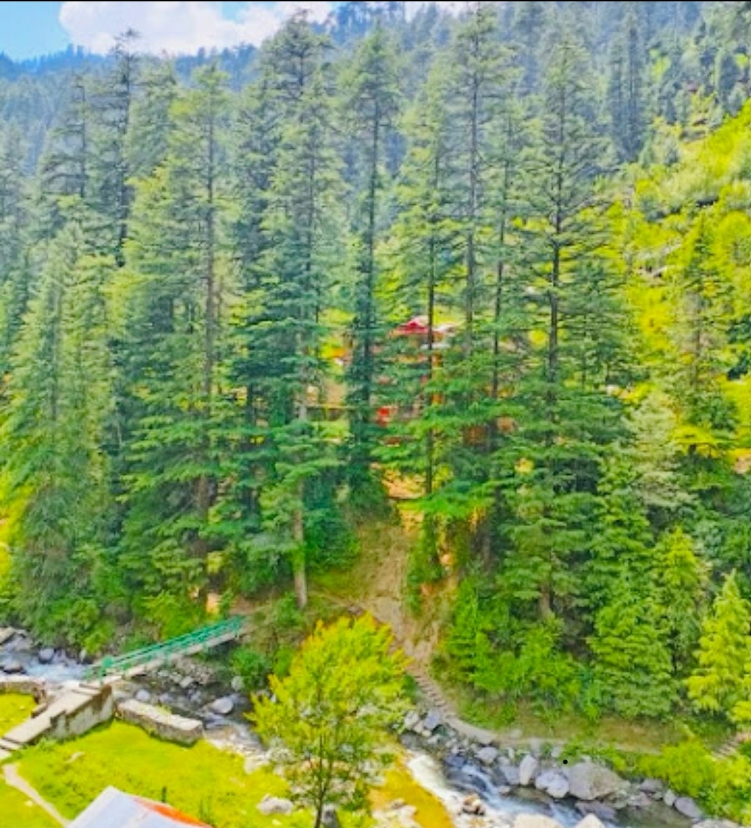 Wildwood Home Jibhi