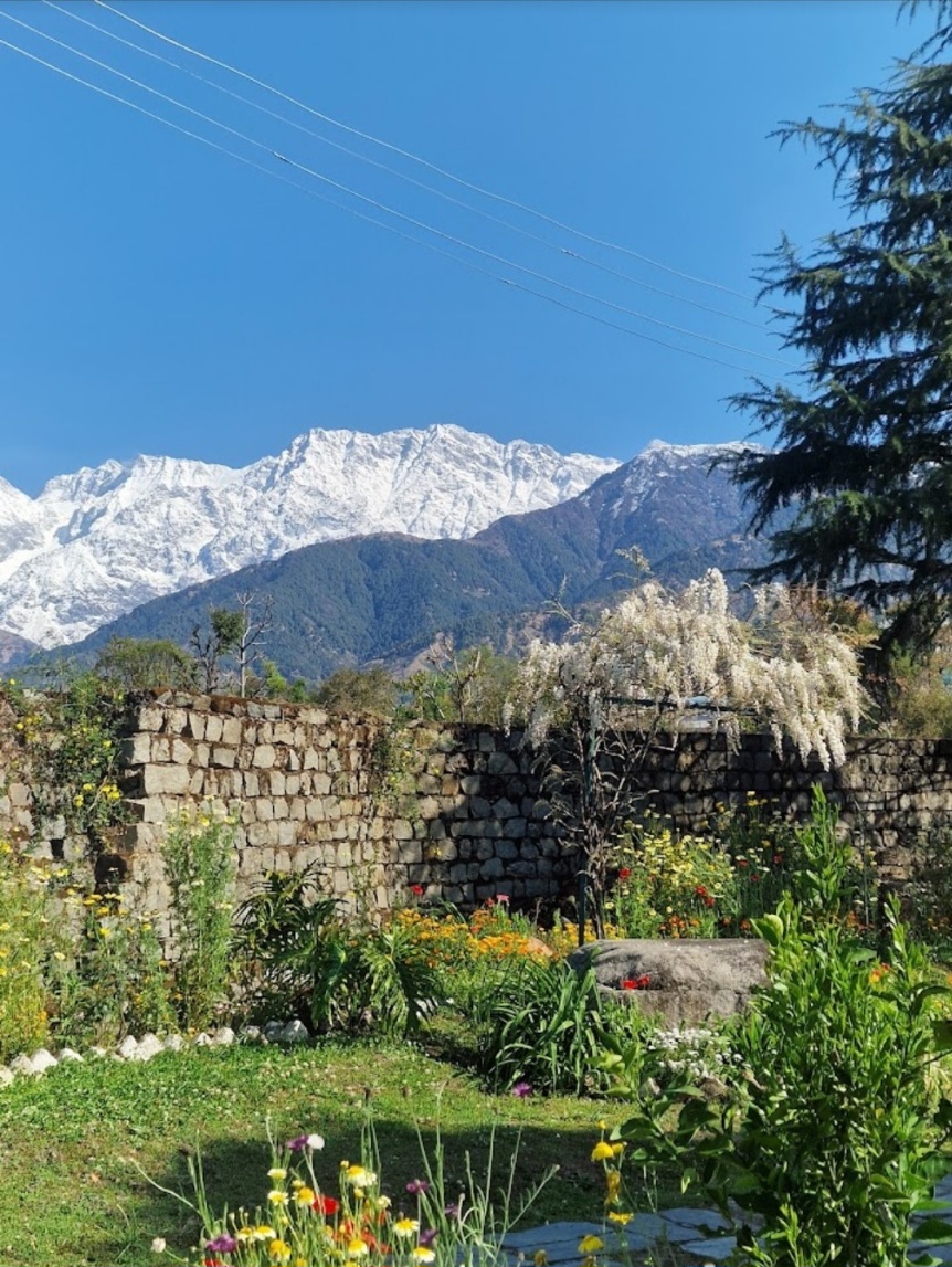 The Nagri Resort