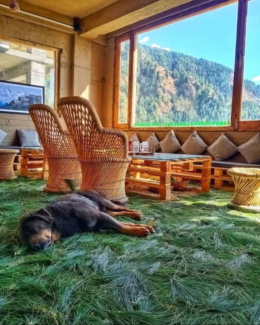 Khadu Cafe
