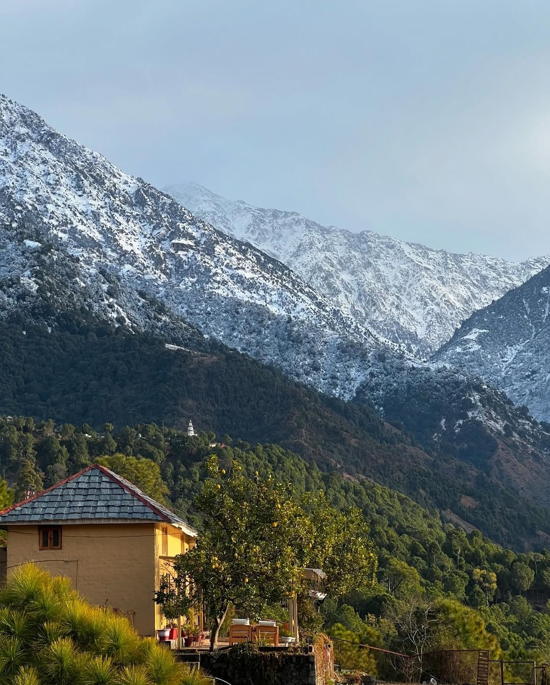 Musafir Cottage, Palampur