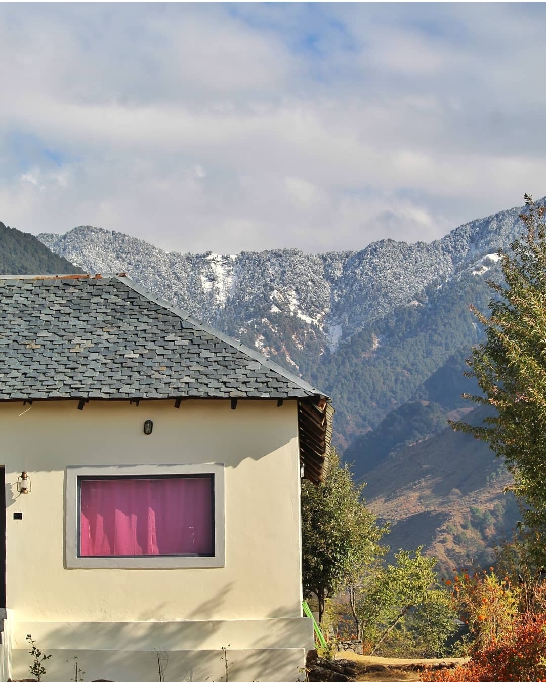 Sukoon Baag -An Eco Farmstay