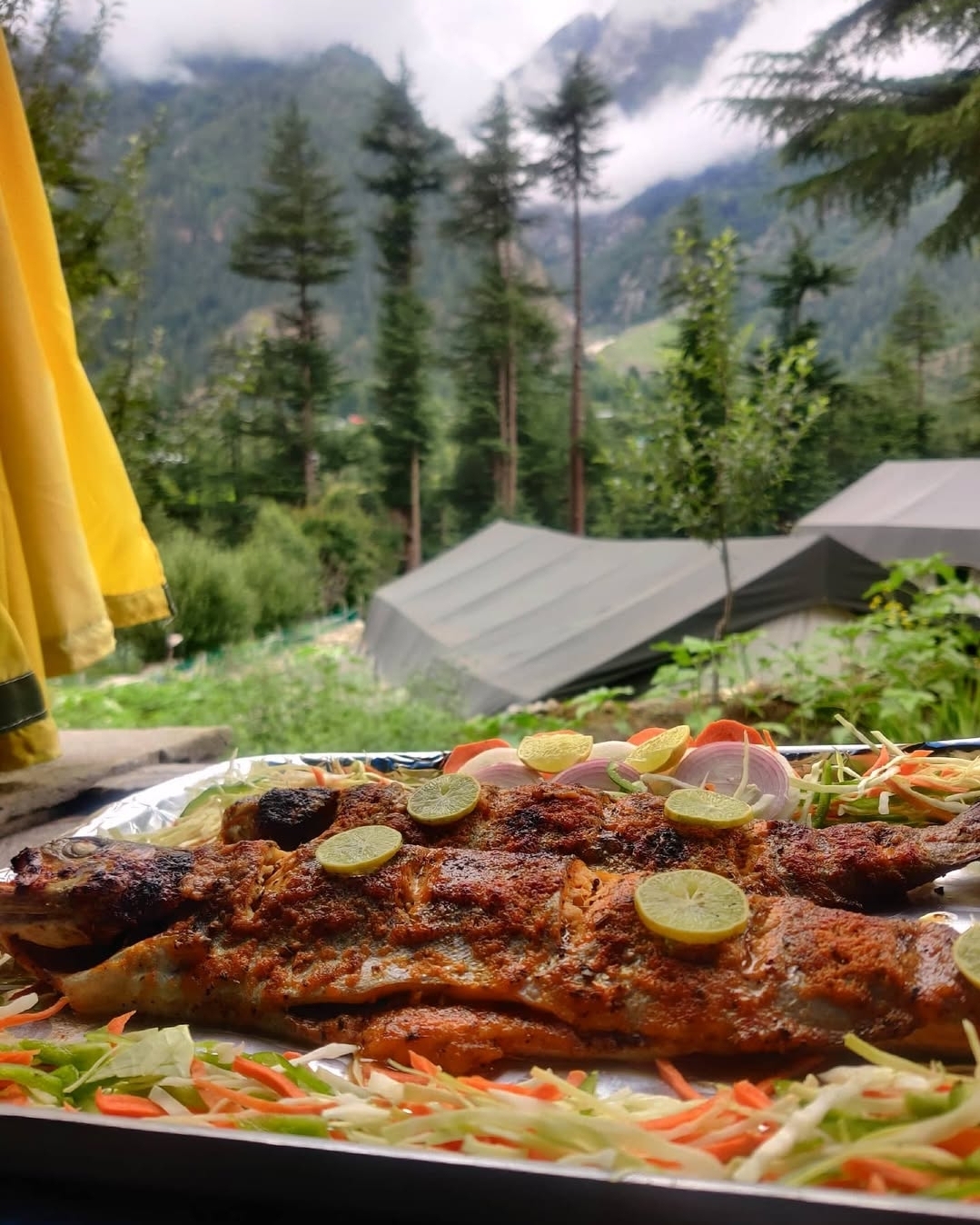 Kinner Camps, Sangla