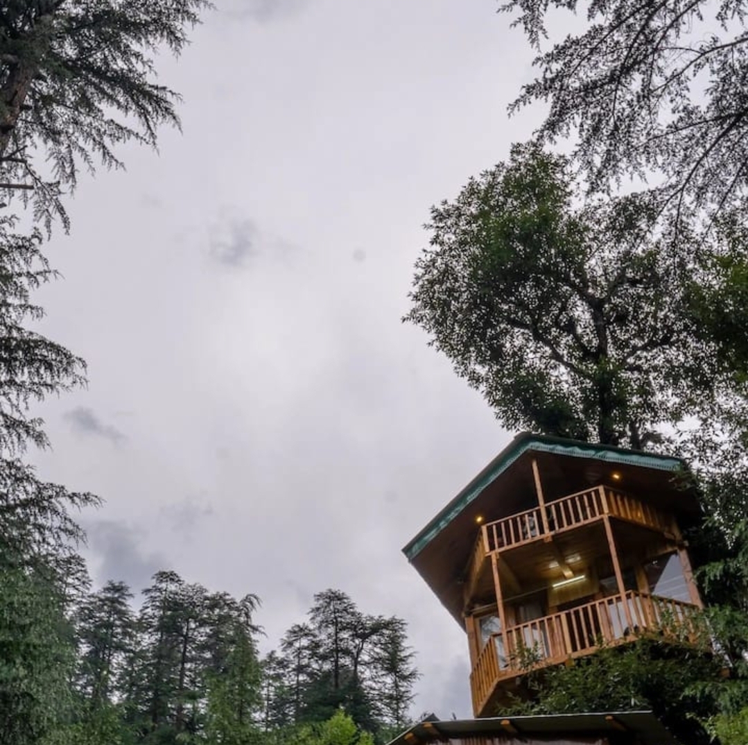 Cliff Haven Treehouse 