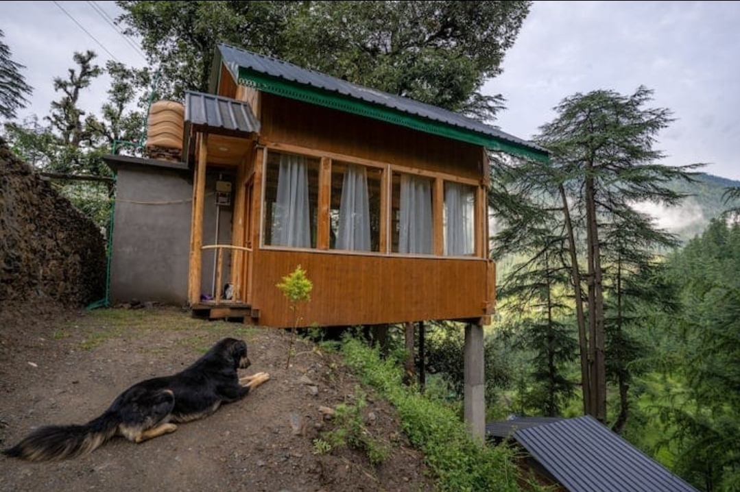 Cliff Haven Treehouse 