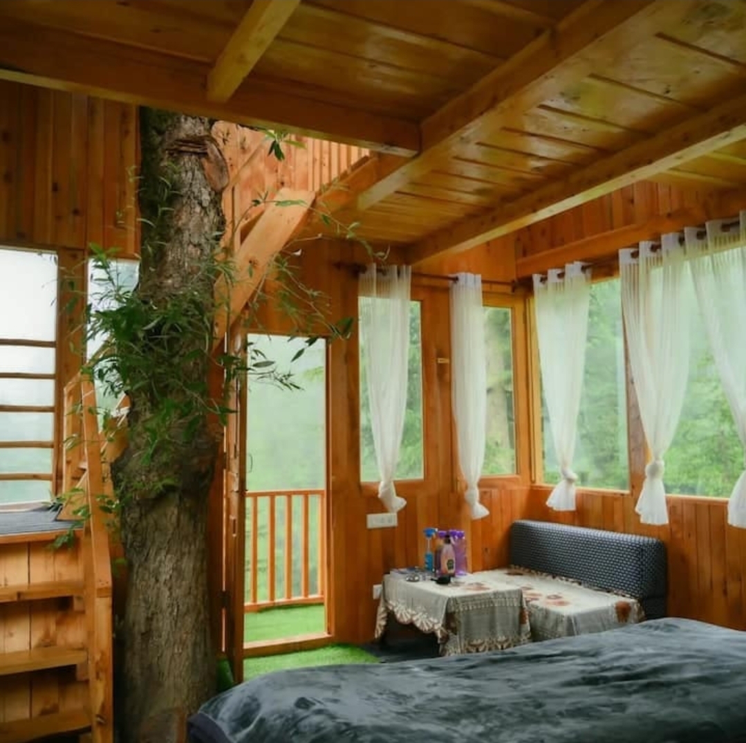 Cliff Haven Treehouse 
