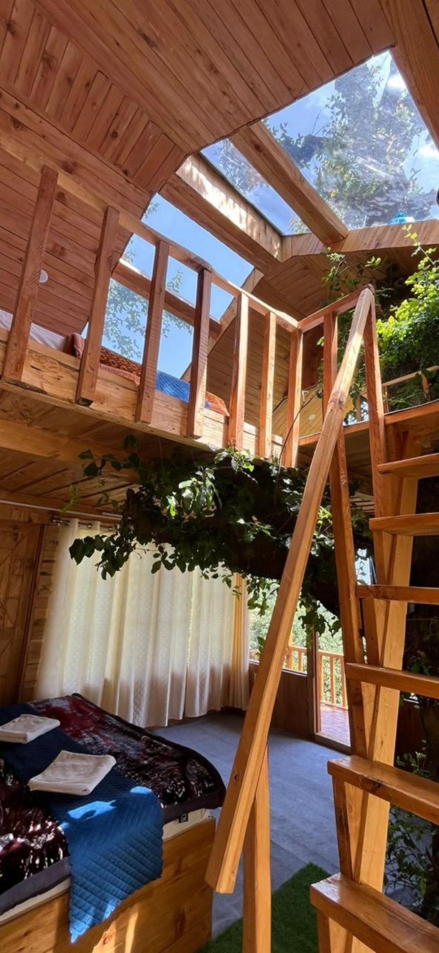 Wildwood Treehouse 