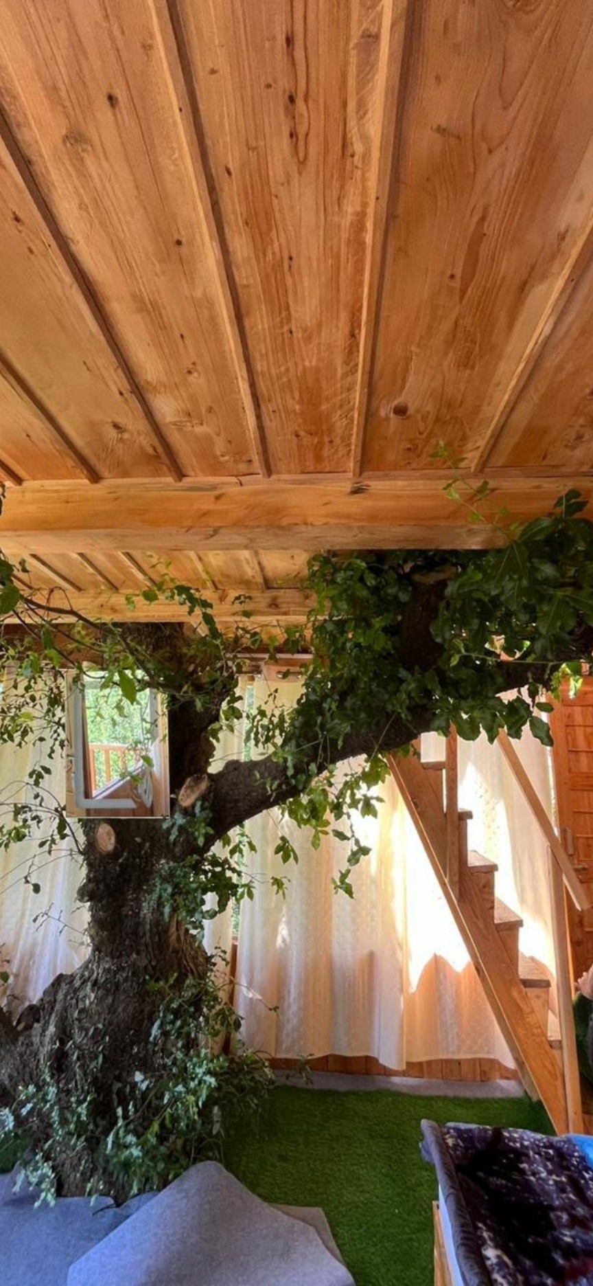 Wildwood Treehouse 