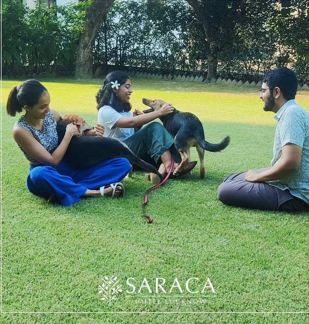 Saraca Lucknow