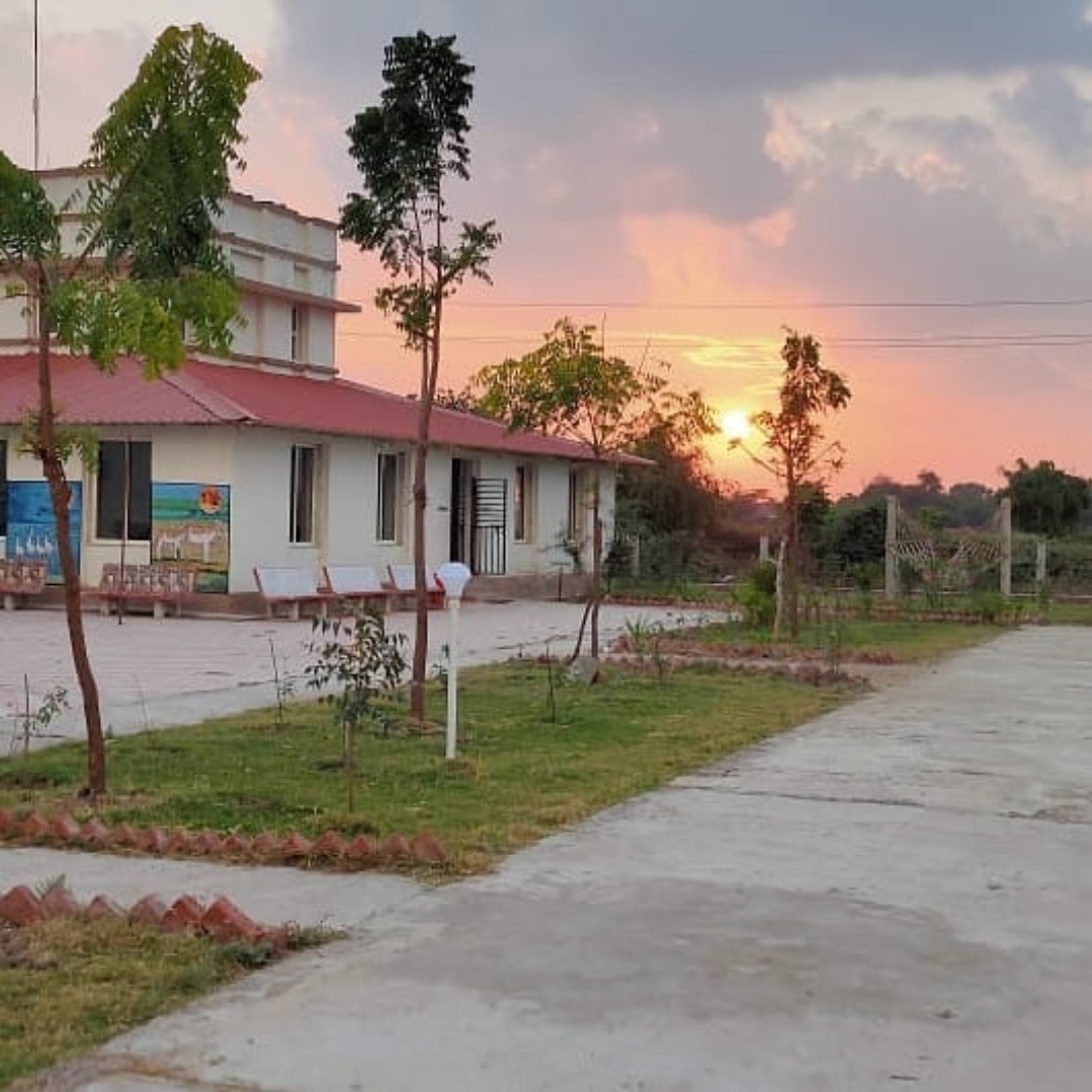 Little Rann Resort