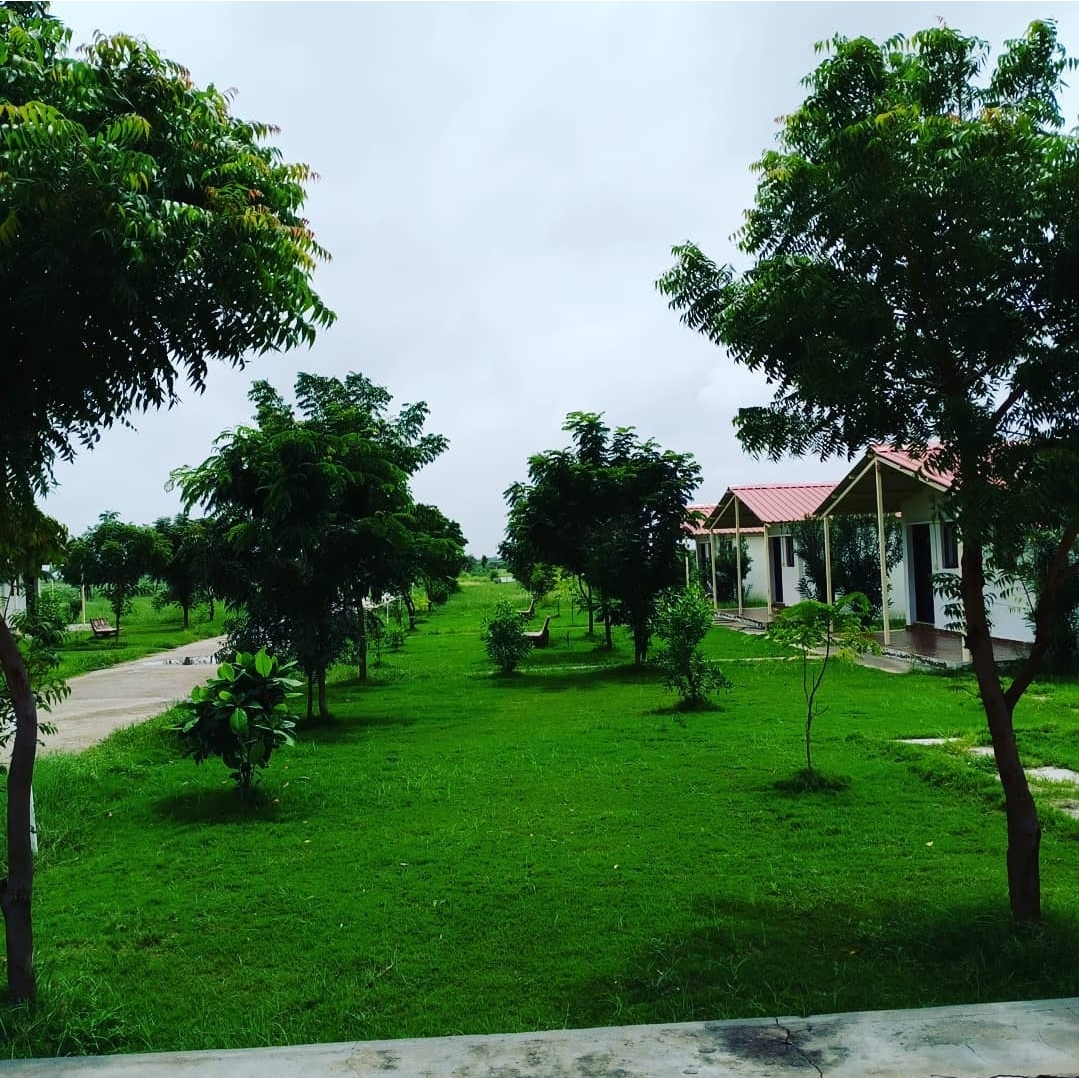 Little Rann Resort