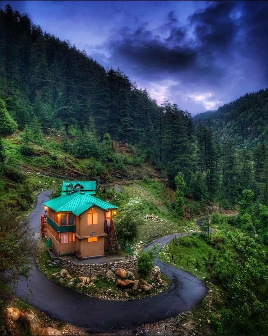The Misty Wilds Home