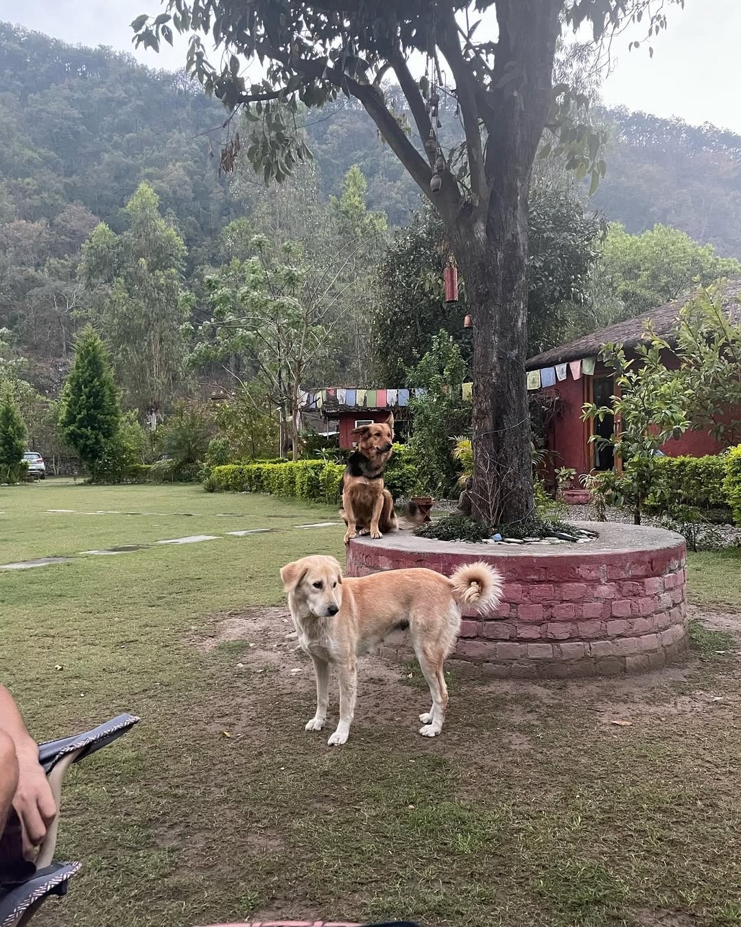 Maatre Yoga Retreat
