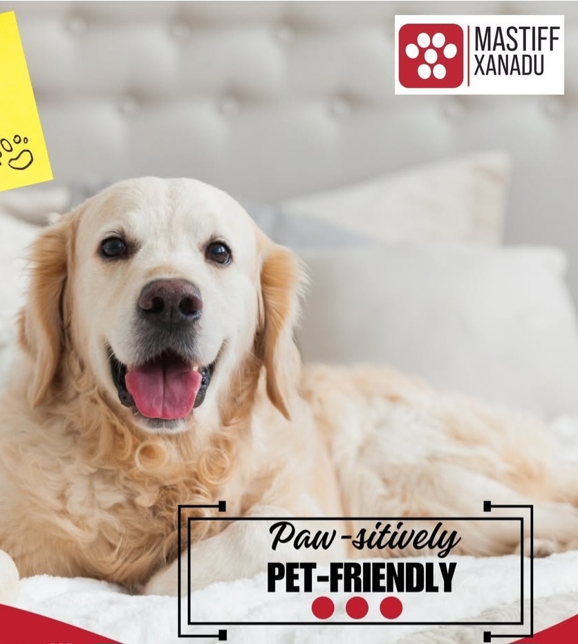 Mastiff Xanadu, Manali