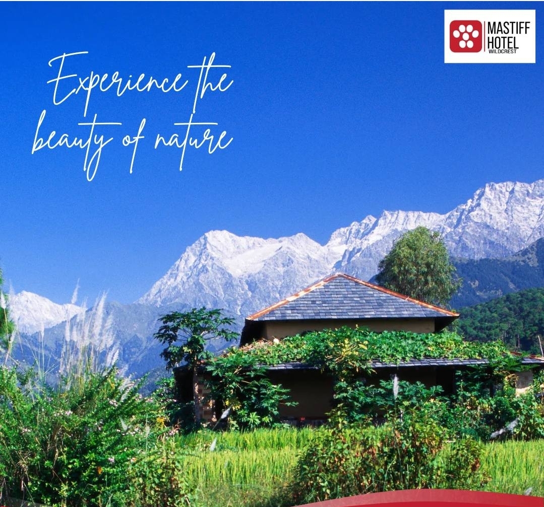 Mastiff Hotel Palampur