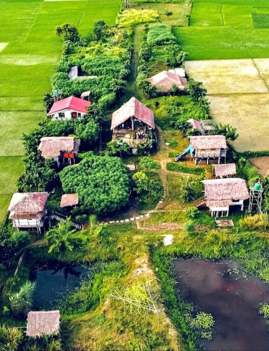 Paddy Shed Resort