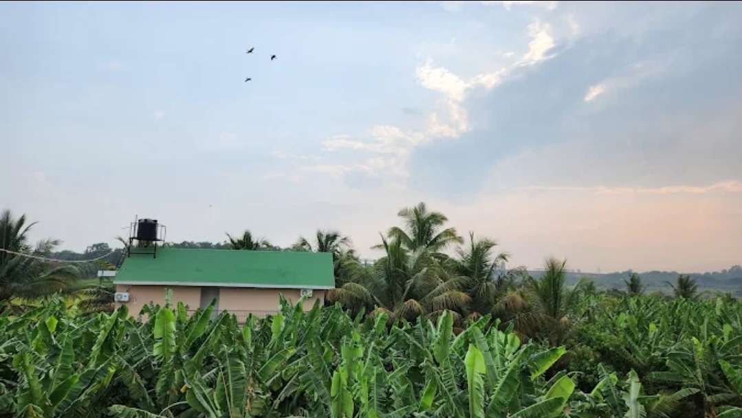 HIDEAWAY FARM STAY HAMPI