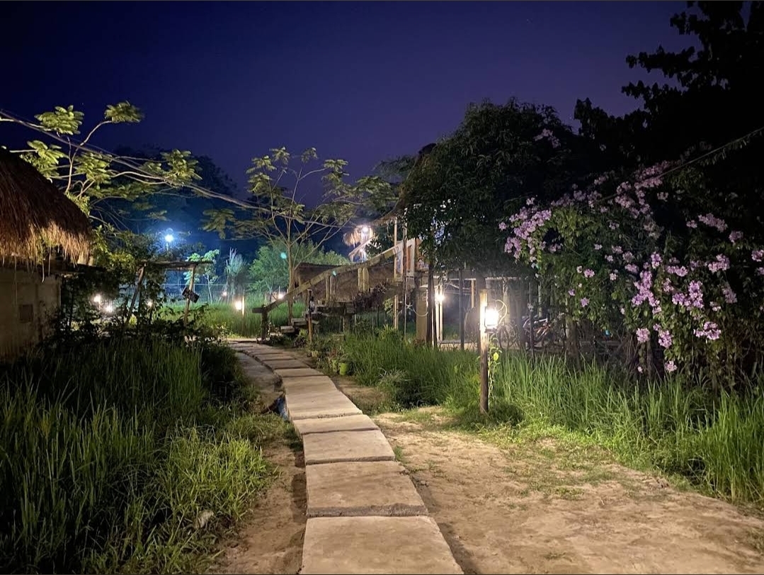 Paddy Shed Resort
