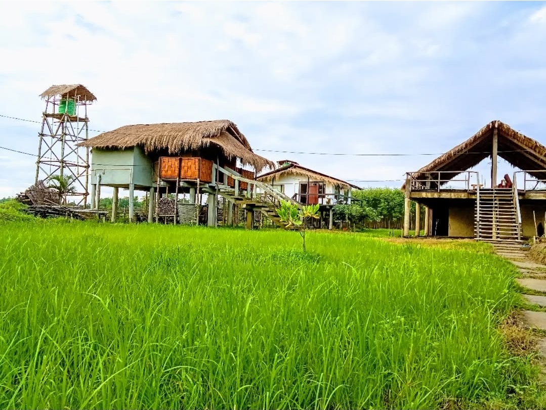 Paddy Shed Resort