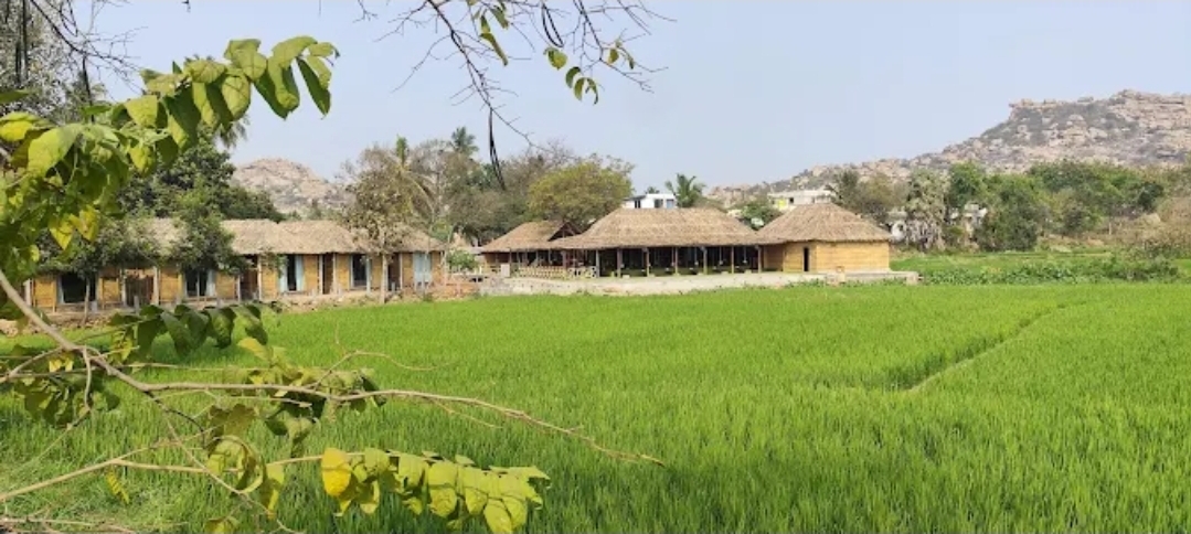 Tranquil Hampi