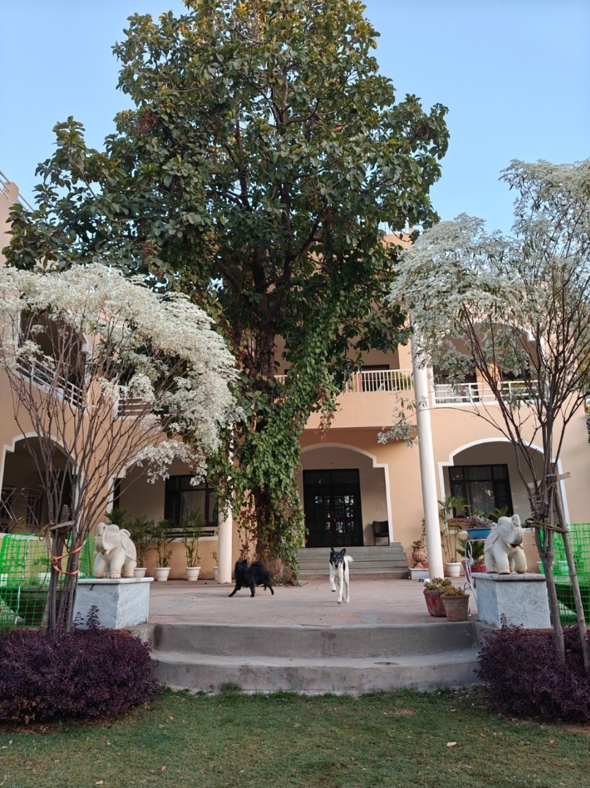 Pavilion Farmstay Udaipur