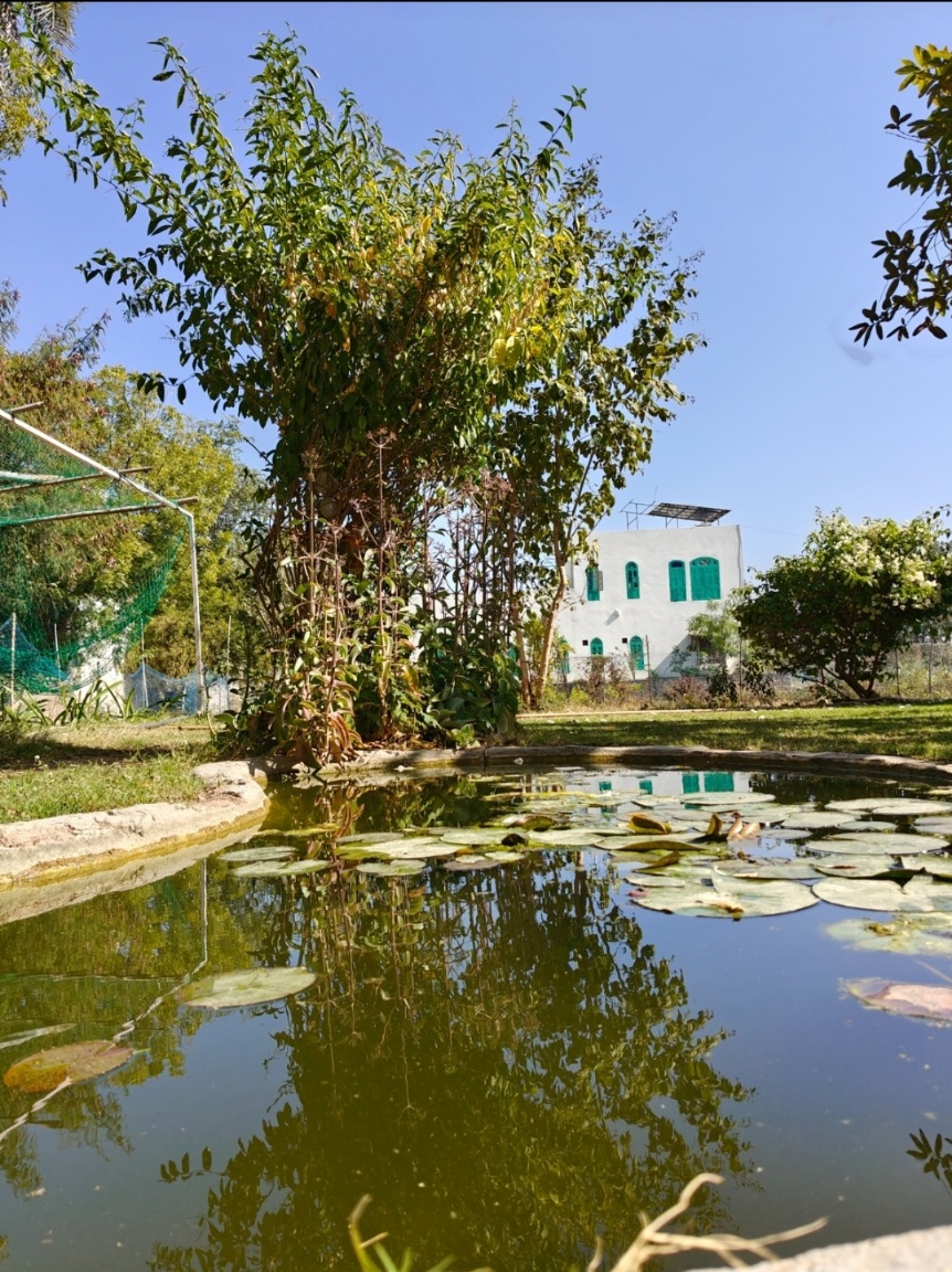 Pavilion Farmstay Udaipur