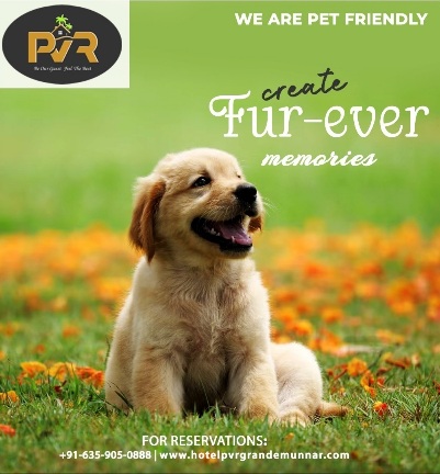 PVR Grande Resort, Munnar
