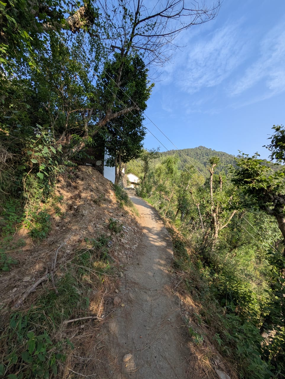 The Himalayan House