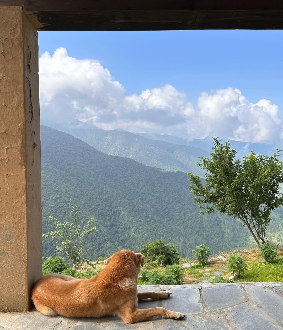 The Goat Village, Nagtibba