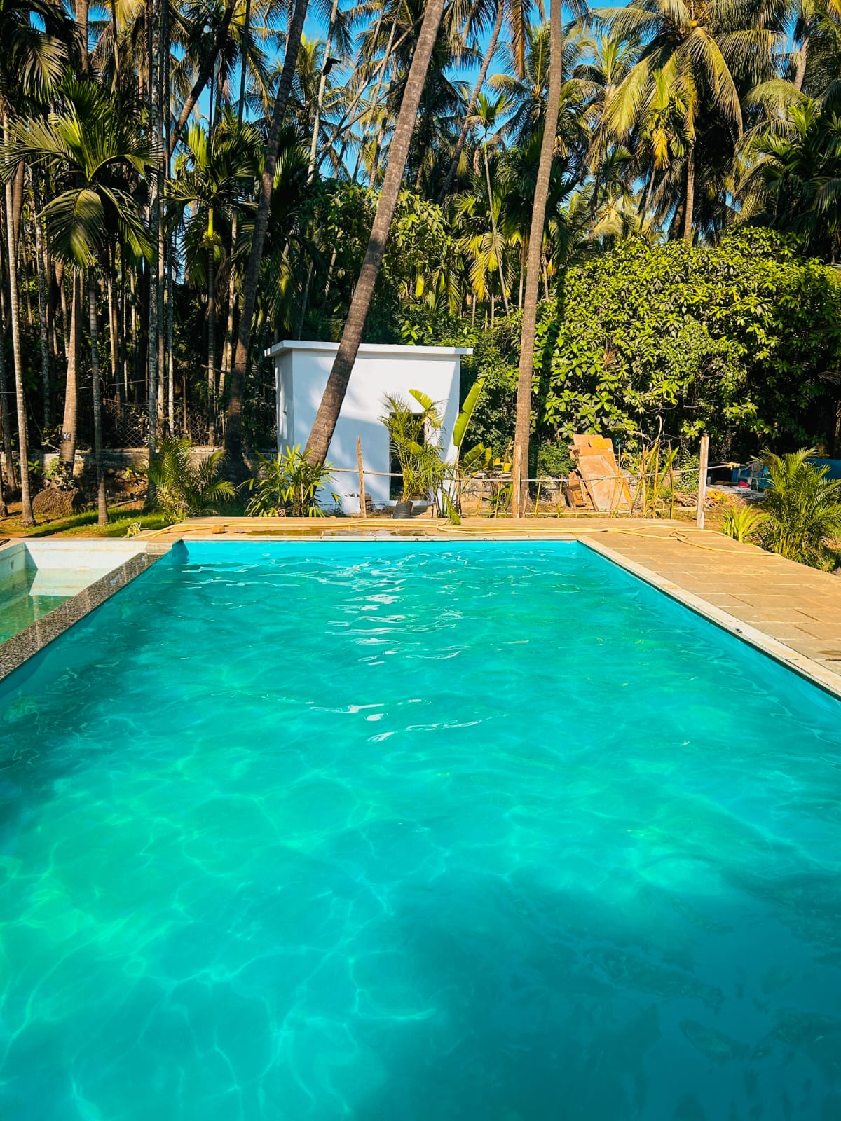 The Bali Resort