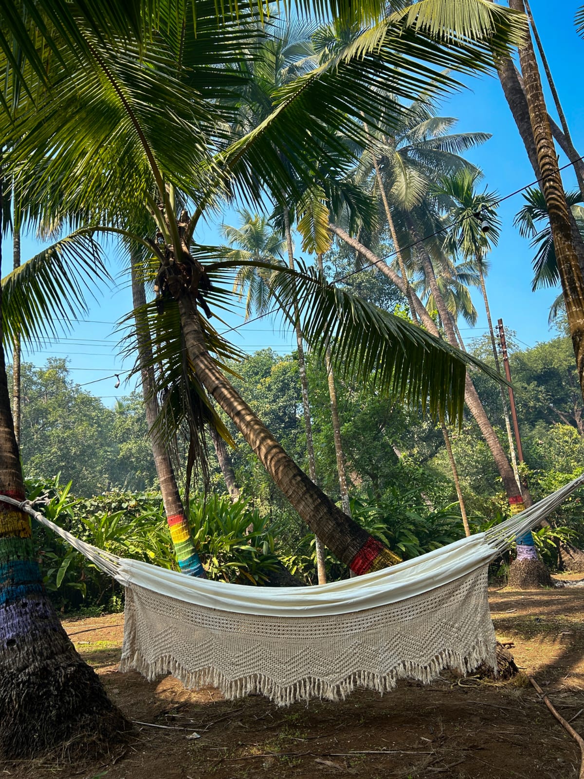 The Bali Resort