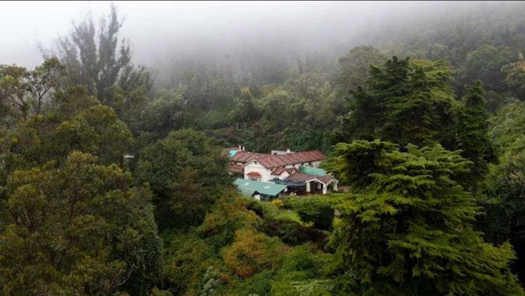 King`s Cliff, Ooty
