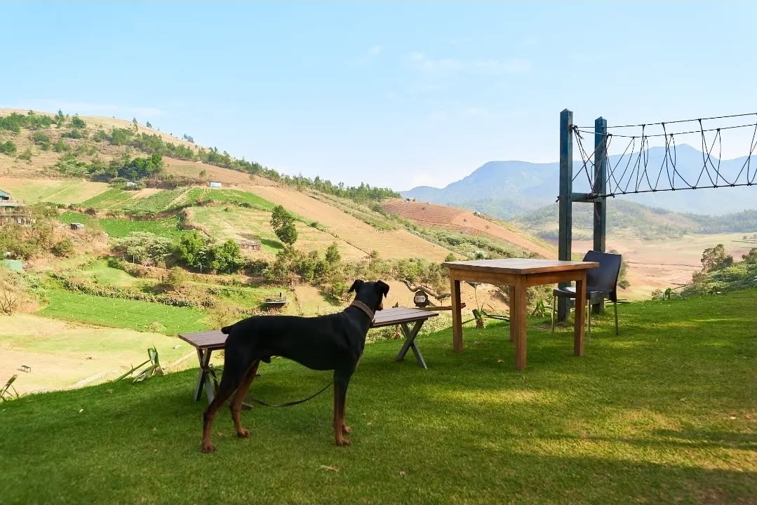 Destiny - The Farm Resort