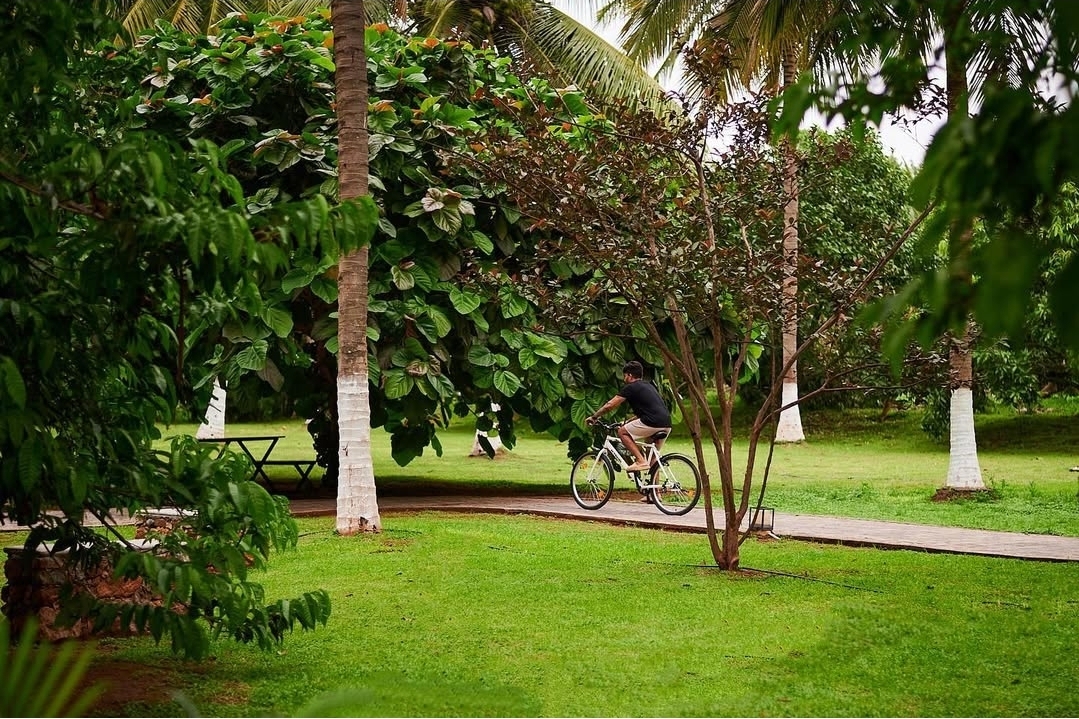 The Mangifera, Bandipur