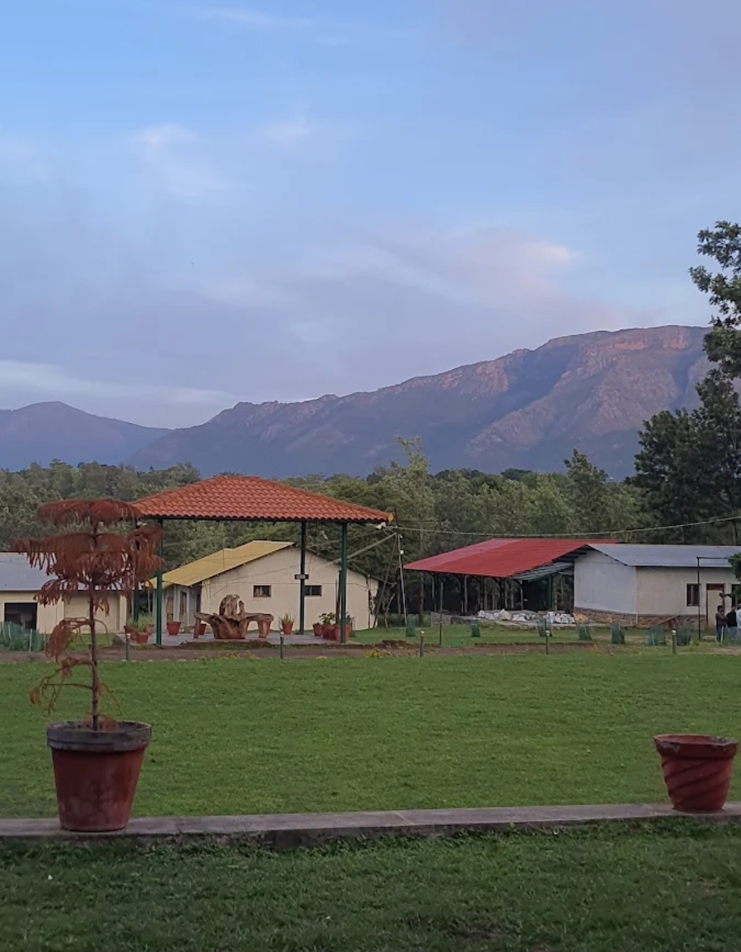 Singaras Coffee Country