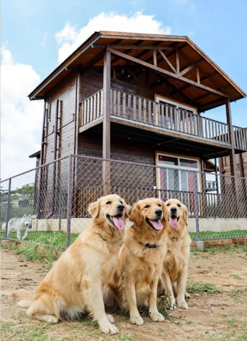 Therpup Cafe Resort