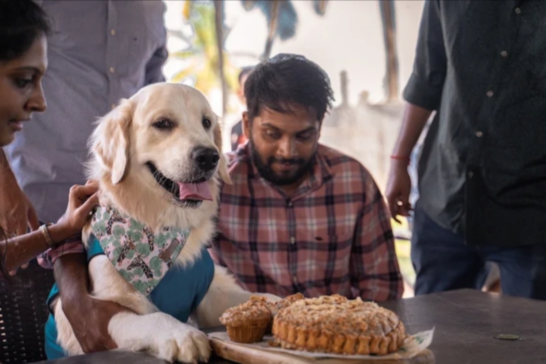Therpup Dog Cafe