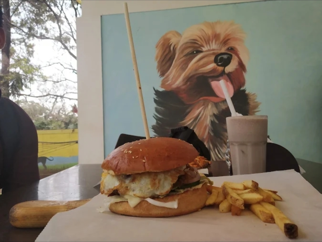 Therpup Dog Cafe