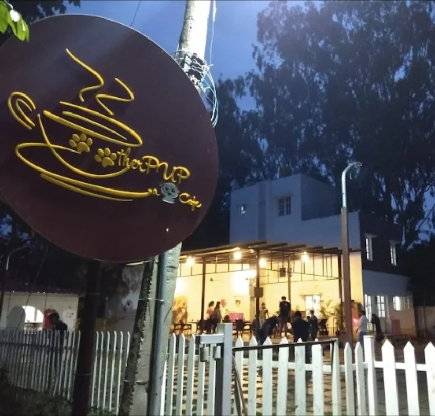 Therpup The Dog Cafe
