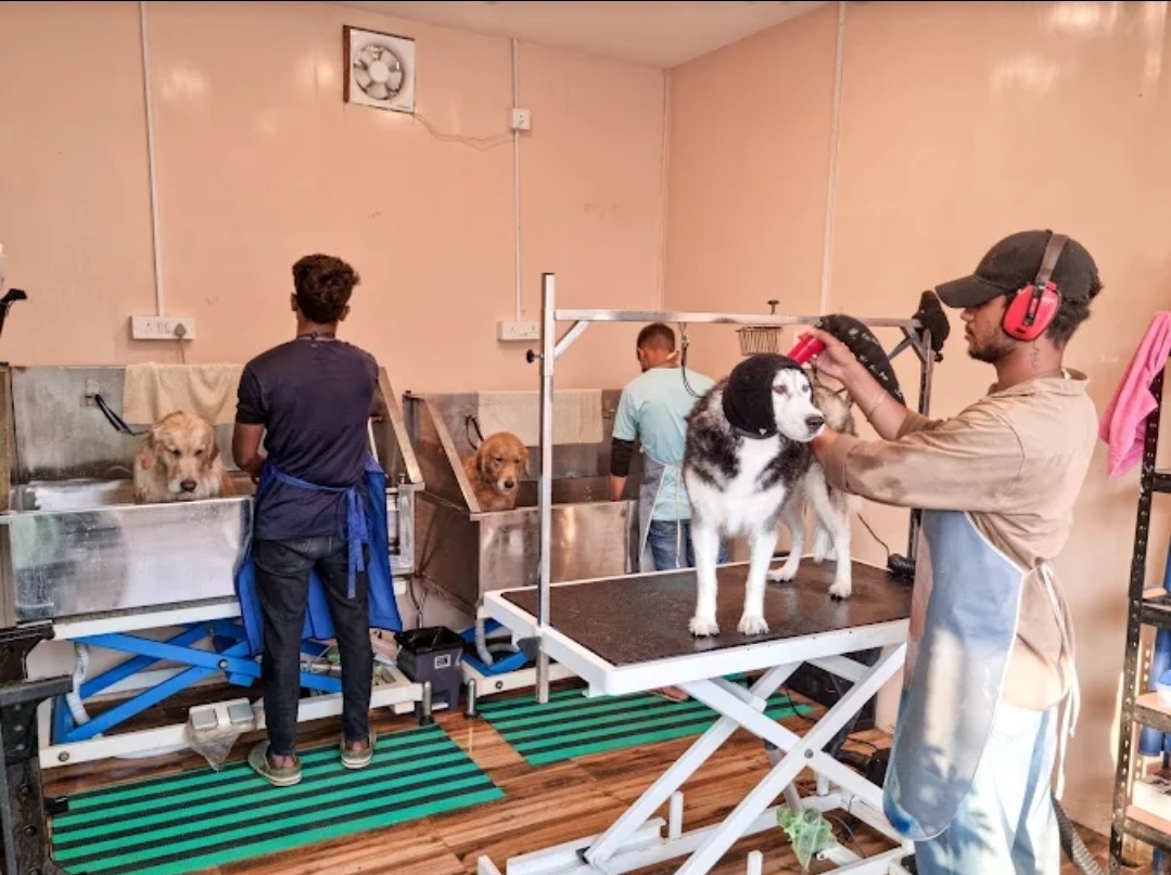 Therpup Pet Salon & Spa, Whitefield